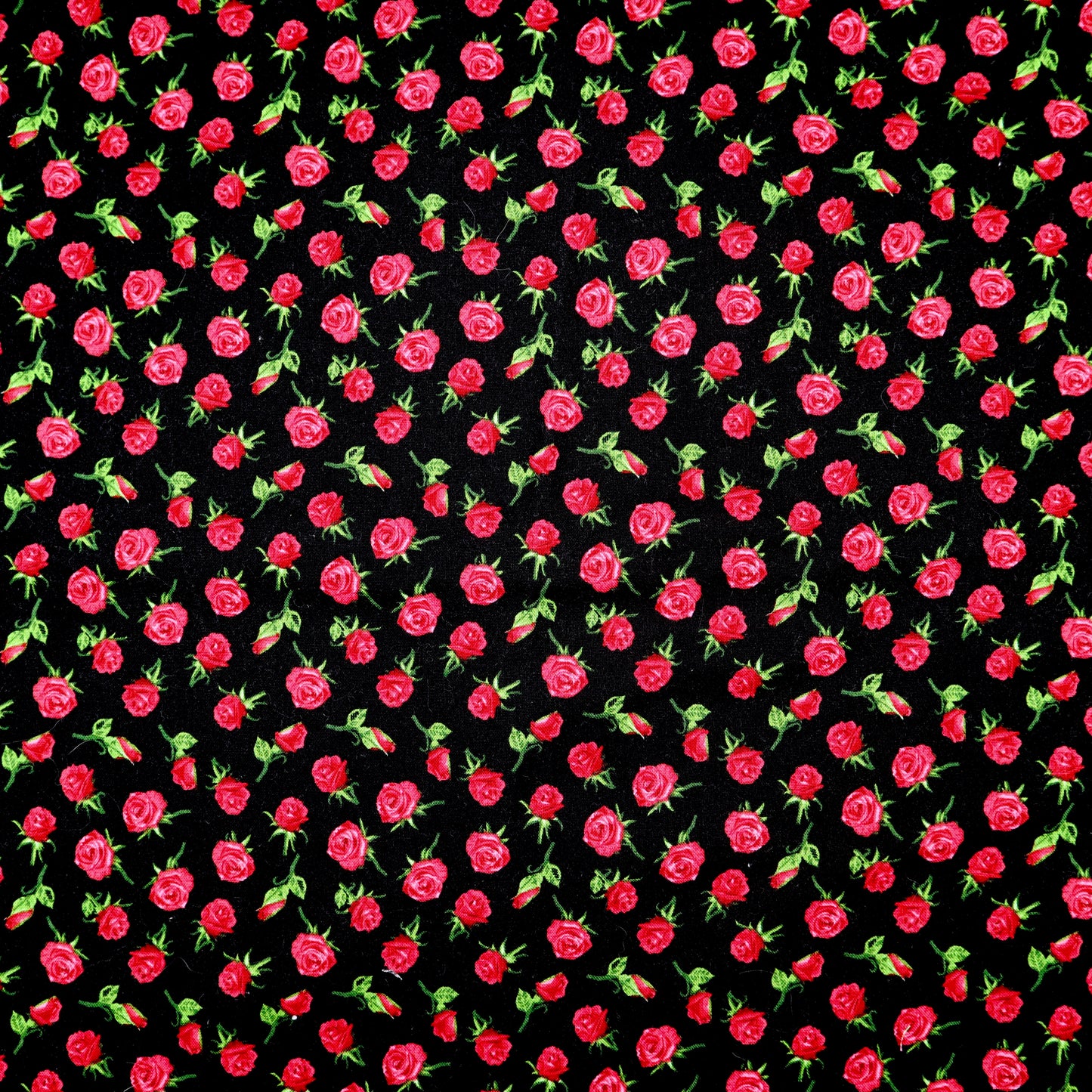 Red Roses on Black - Quilting Cotton