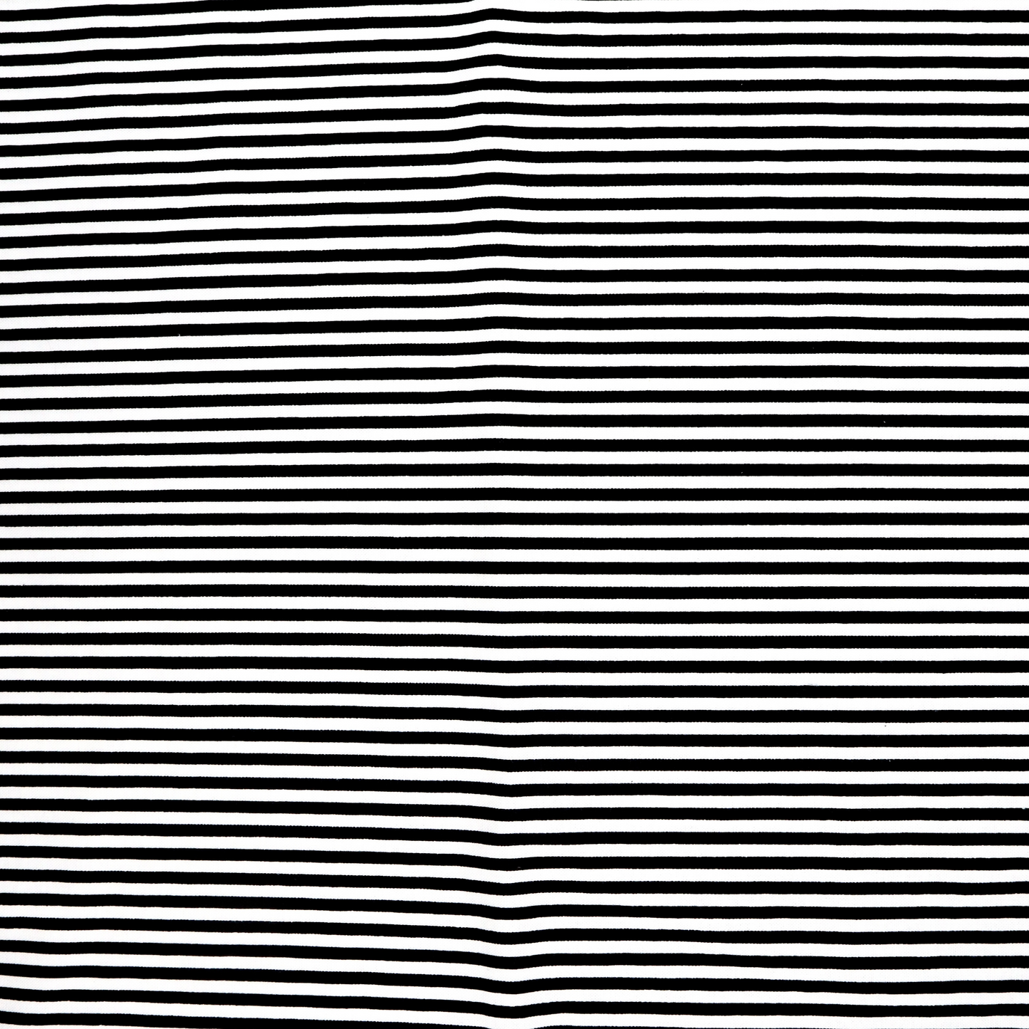 Hypnotic B&W Stripes - Quilting Cotton