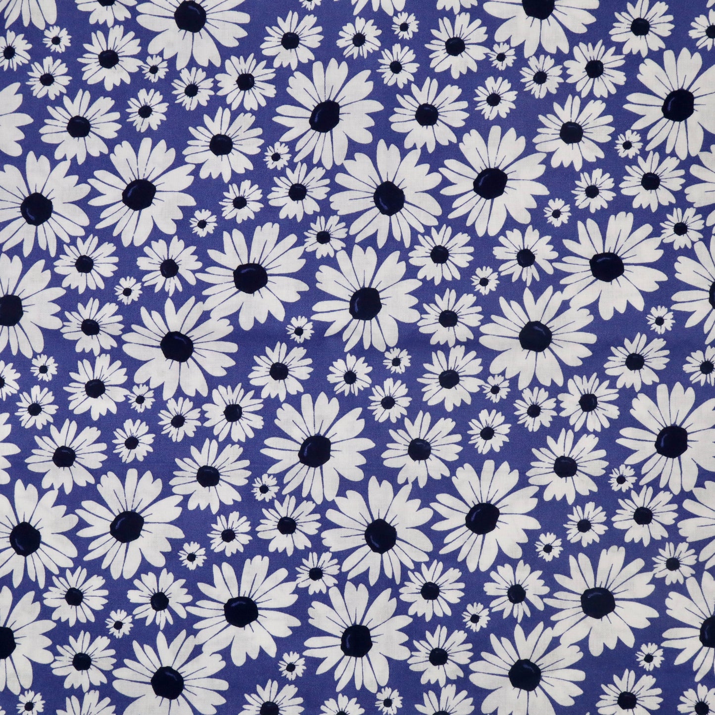 Blue Daisies - Quilting Cotton